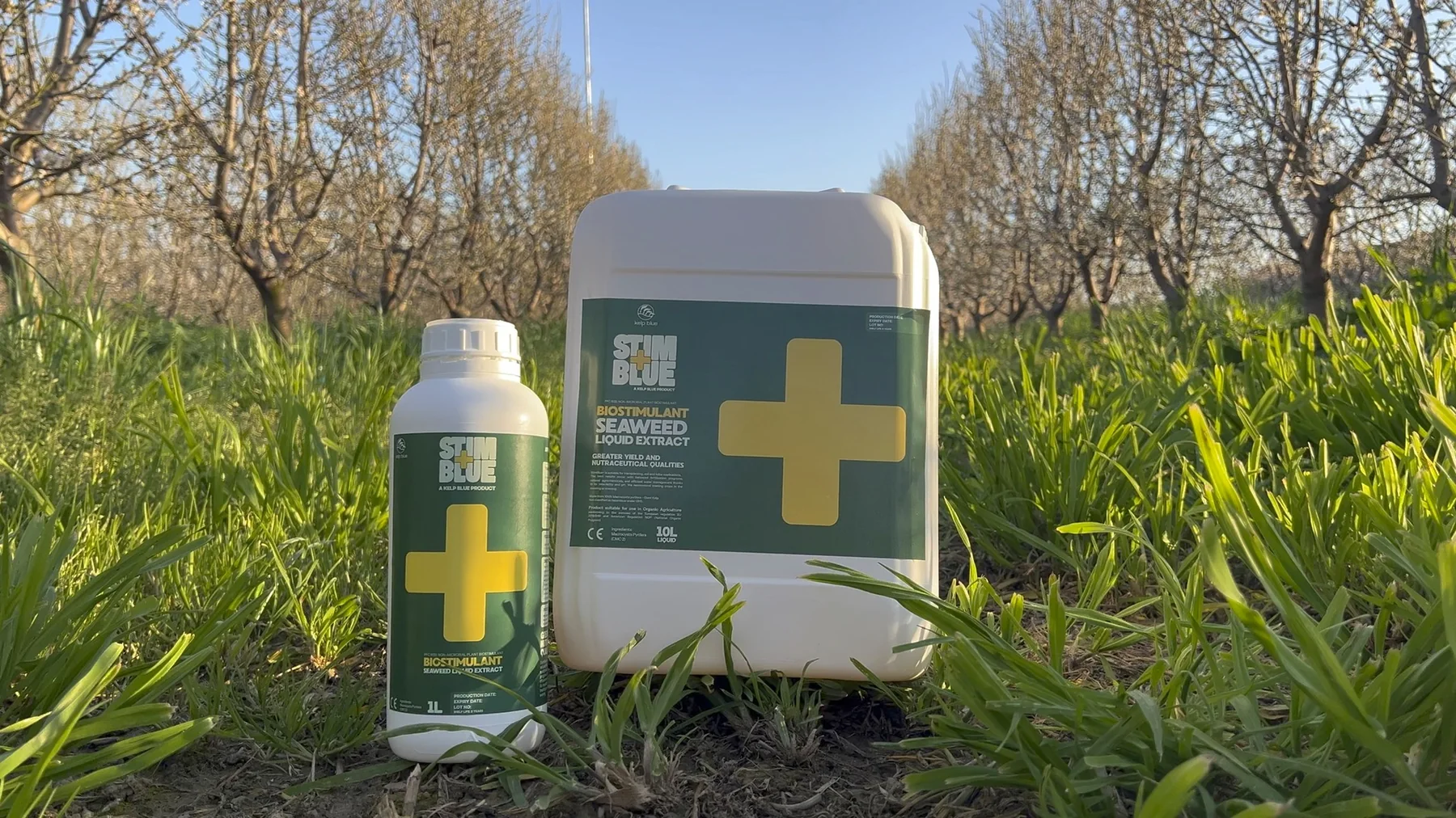 StimBlue+ biostimulátor eredeti flakonban és kannában, ültetvényben fotózva